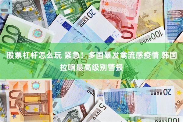 股票杠杆怎么玩 紧急！多国暴发禽流感疫情 韩国拉响最高级别警报