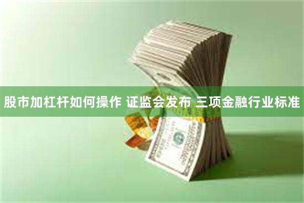 股市加杠杆如何操作 证监会发布 三项金融行业标准