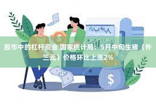 股市中的杠杆资金 国家统计局：5月中旬生猪（外三元）价格环比上涨2%