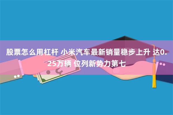 股票怎么用杠杆 小米汽车最新销量稳步上升 达0.25万辆 位列新势力第七
