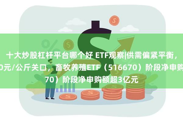 十大炒股杠杆平台哪个好 ETF观察|供需偏紧平衡，猪价接近20元/公斤关口，畜牧养殖ETF（516670）阶段净申购额超3亿元