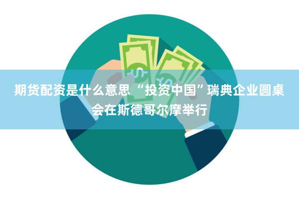 期货配资是什么意思 “投资中国”瑞典企业圆桌会在斯德哥尔摩举行
