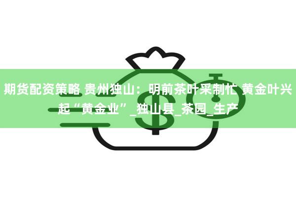 期货配资策略 贵州独山：明前茶叶采制忙 黄金叶兴起“黄金业”_独山县_茶园_生产