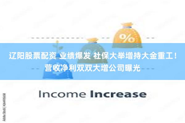 辽阳股票配资 业绩爆发 社保大举增持大金重工！营收净利双双大增公司曝光