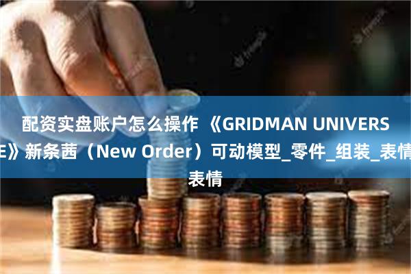 配资实盘账户怎么操作 《GRIDMAN UNIVERSE》新条茜（New Order）可动模型_零件_组装_表情